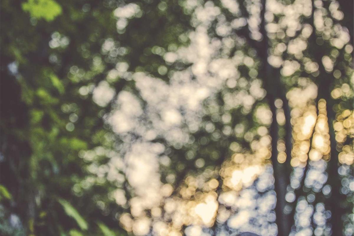 Brand Identity System 1